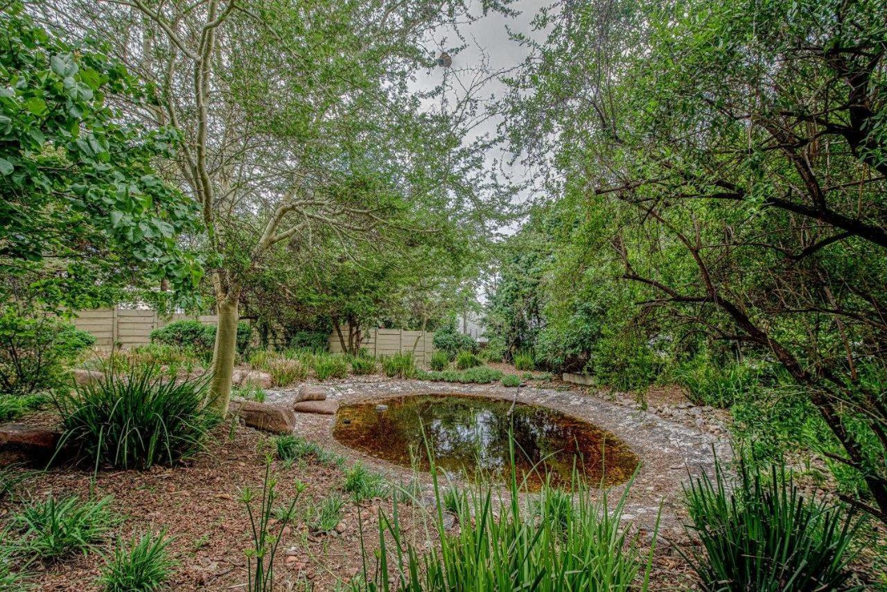 Wild Olive Executive Suite Johannesburg Dış mekan fotoğraf