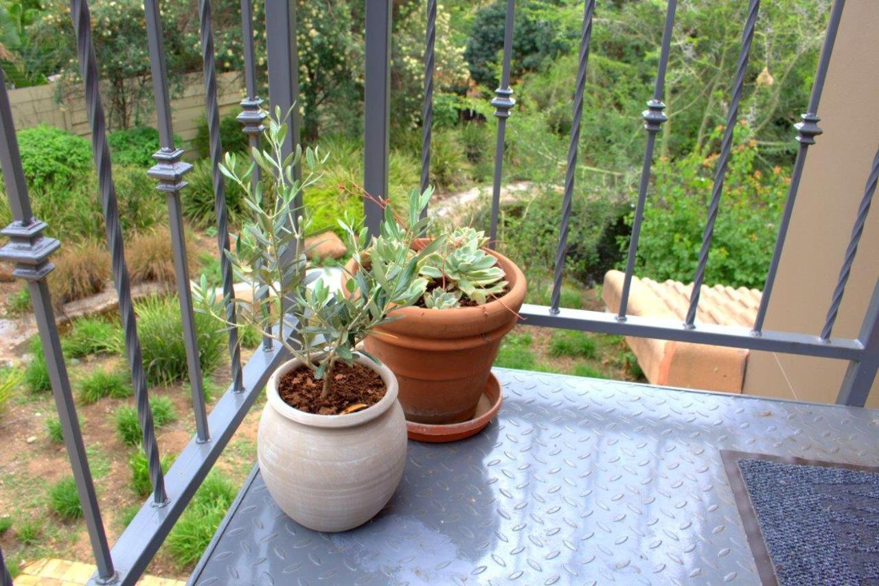 Wild Olive Executive Suite Johannesburg Dış mekan fotoğraf