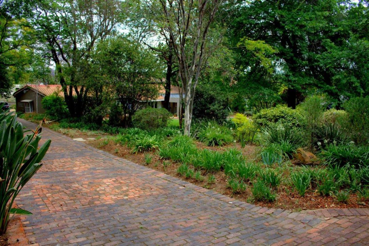 Wild Olive Executive Suite Johannesburg Dış mekan fotoğraf
