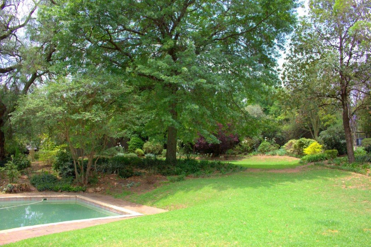 Wild Olive Executive Suite Johannesburg Dış mekan fotoğraf