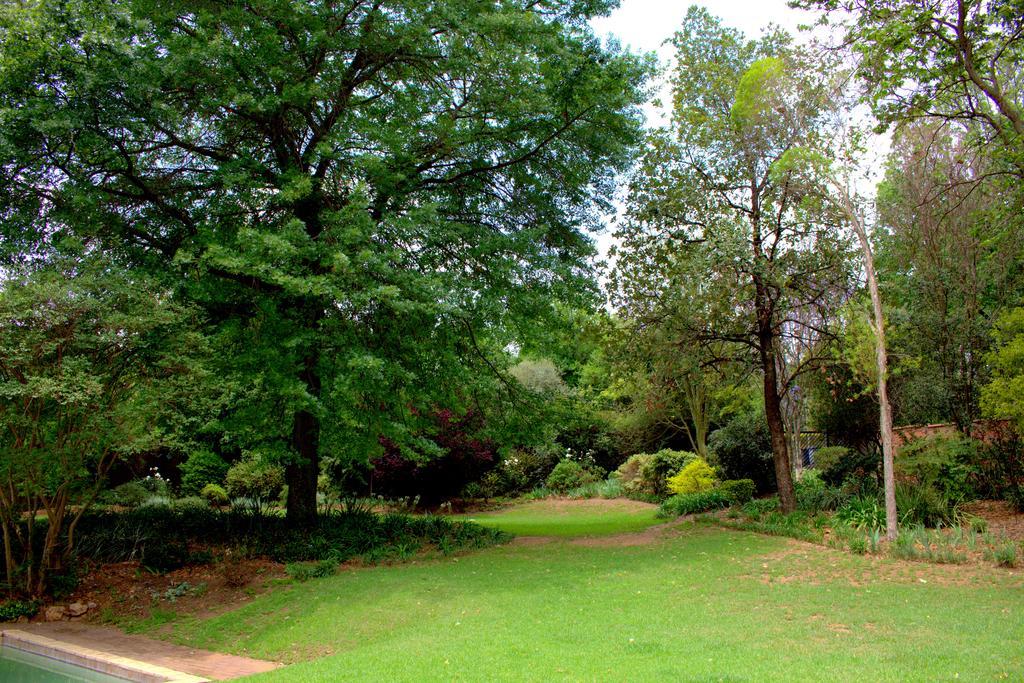 Wild Olive Executive Suite Johannesburg Dış mekan fotoğraf