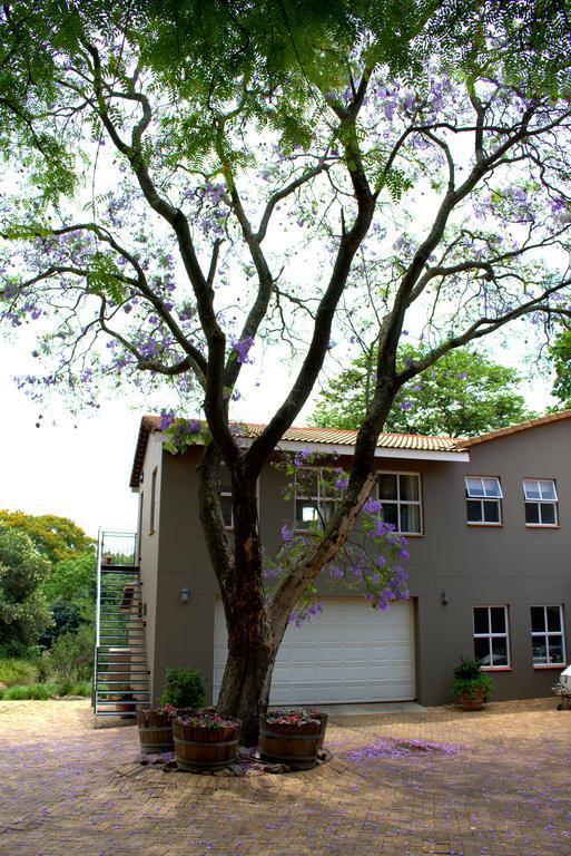 Wild Olive Executive Suite Johannesburg Dış mekan fotoğraf